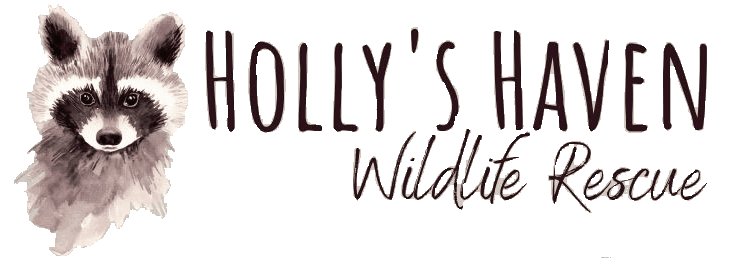 Holly's Haven Wildlife Rescue logo