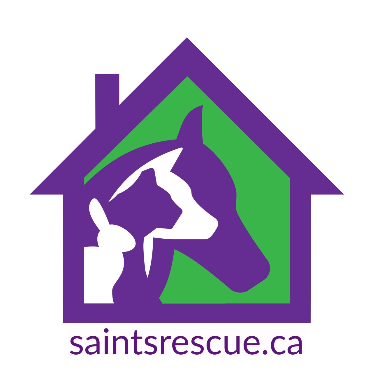 SENIOR ANIMALS IN NEED TODAY SOCIETY logo