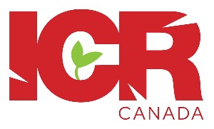 INTERNATIONAL CHRISTIAN RESPONSE logo
