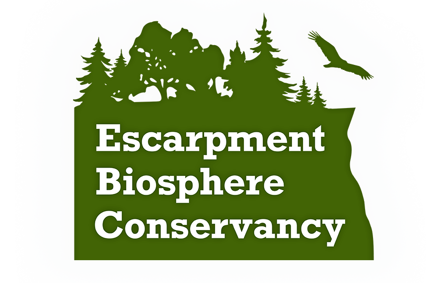Escarpment Biosphere Conservancy, Inc. logo