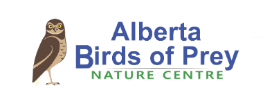 ALBERTA BIRDS OF PREY FOUNDATION logo